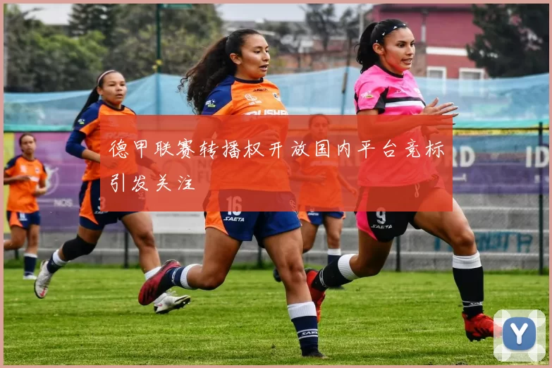 德甲联赛转播权开放国内平台竞标引发关注