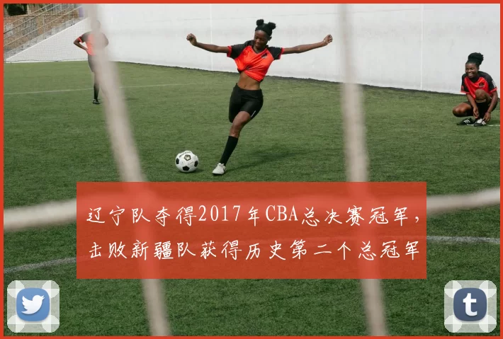 辽宁队夺得2017年CBA总决赛冠军，击败新疆队获得历史第二个总冠军