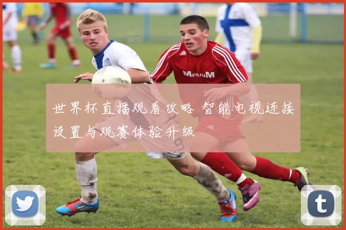 世界杯直播观看攻略 智能电视连接设置与观赛体验升级
